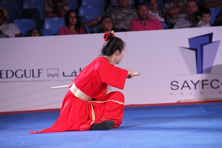 Martial Arts Festival